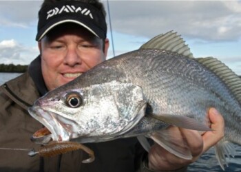 REPORT: S Factor Saturday